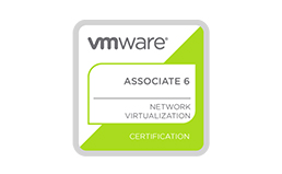 Associate Vmware Network Virtualization